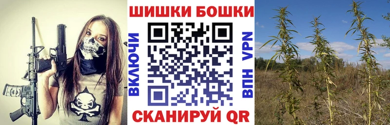 наркотики  Светлоград  Марихуана план 